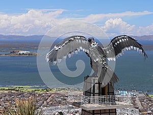 Condor's view over Puno