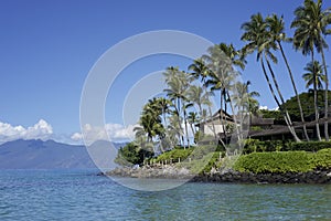 Condos Along The Beach