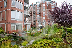 Condos and townhouses, Victoria, Canada