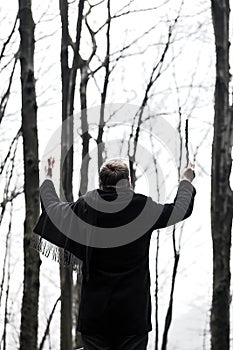 Conductor of the forest photo