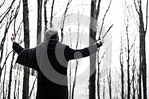 Conductor of the forest photo