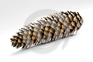 Cone