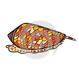 Cone fish Aussie fauna color vector character side view