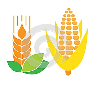 Cone, grain, wheat vector