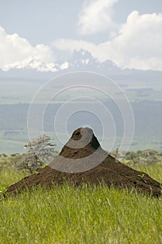 Cone head termite mound in foreground with Mnt. Kenya in the background at Lewa Wildlife Conservancy, North Kenya, Africa