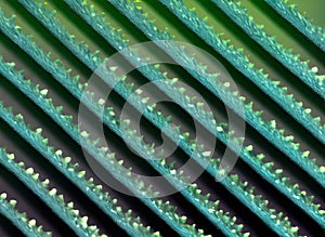 cone painted background knolling realistic Pantone photo