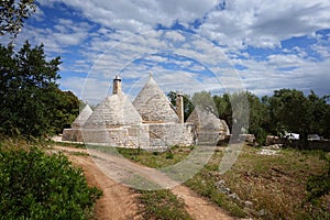 Cone-shaped trulli houses and olive trees in Apulia photo