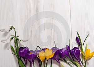 Coner from crocus and snowdrops on wooden background