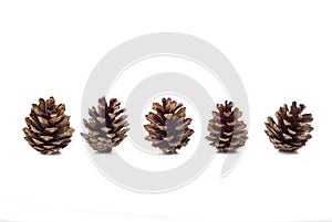 Cones