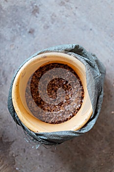 Cones of coniferous trees lie on drying