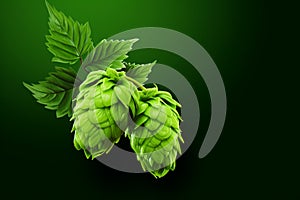 Cones of hops on a green background 1