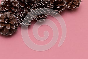 Cones on a pink background, top view