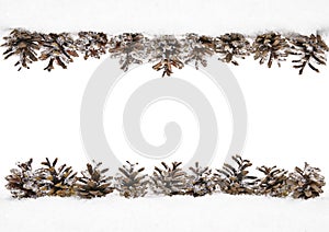 Cones Snow, Winter Frame of Pine Cone, Border Decoration
