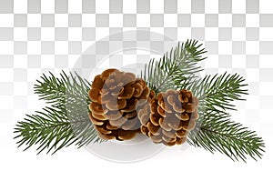 Cones in spruce branches. Christmas composition. A small festive