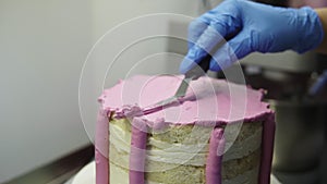 Confectioner applying puprle whipped cream on top of biscuit cake equating it with pastry spatula. Creating delicious
