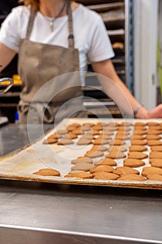 Confectioner working, take out the tea dough, cookies from the oven tray photo