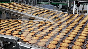 Confectionery factory for the production of sweet cookies of complex shape in operation when the products are moved on the conveyo