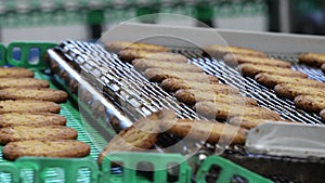 Confectionery factory for the production of sweet cookies of complex shape in operation when the products are moved on the conveyo