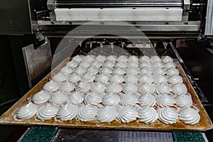 Confectionery factory. Zephyr and marshmallows forming machine