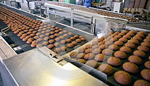 Confectionery food factory. Production line or conveyor belt, baking cookies process manufactory