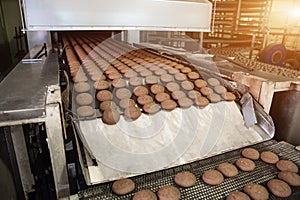 Confectionery food factory. Production line or conveyor belt, baking cookies process manufactory