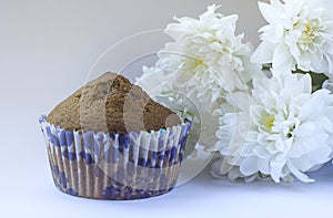 Confectionery, sweets, sweets. chocolate cupcakes, muffin cupcakes with cocoa topping on a white background. foodphoto isolate photo