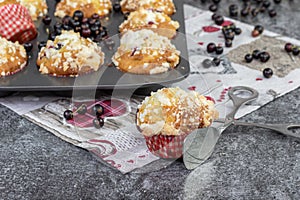 confectionery tongs with black currant muffin with crumb