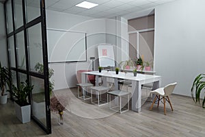 Conference hall, white bright clean office with table, chairs, projector, whiteboard, pink arm-chair and glass door, lots of
