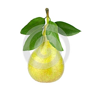 Conference pear with green leaves on white background isolated close up