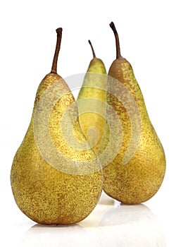Conference Pear, pyrus communis, Fruits against White Background