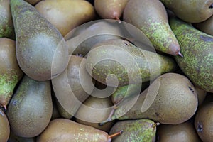 Conference Pears