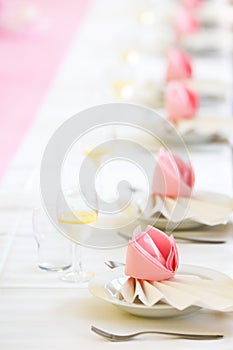 Conference or wedding dinner table