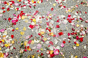 Confetti petals on the floor at a wedding