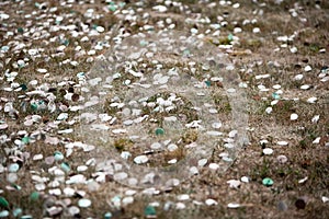 Confetti scatered on the floor