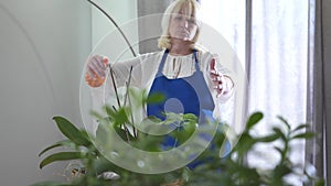 Confident blond Caucasian woman woman spraying water on domestic plants and smiling. Happy retiree in blue apron taking