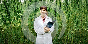 Confident doctor posing in a hemp field