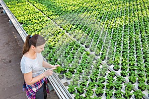 Confident female botanist examining seedlings in plant nursery photo