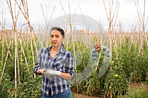 Confident female horticulturist of farm field