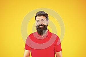 confident and handsome bearded man on yellow background. hair and beard care.