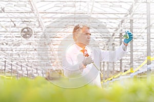 Confident male biochemist examining conical flask while holding pipette in greenhouse photo
