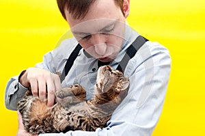 Confident man in blue shirt, suspender holding and petting brown tabby cute cat on back