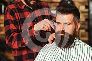Confident man getting new haircut in barber shop. Handsome young bearded guy. Getting perfect shape. Barbershop