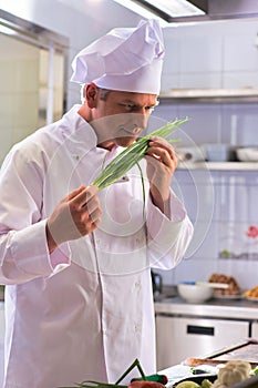 Confident mature chef smelling onion leaves at kitchen restaurant