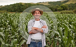 Confident mature farmer in agricultural field