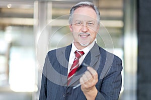 Confident senior business man portrait