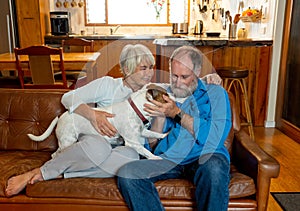 Couple relaxing at home and loving their pet. Positive image of life at home and New Normal