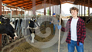 Confident teen boy standing with tool near stall with cows