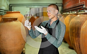 Confident winemaker examining wine in glass at winery