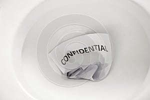 Confidential document flush away