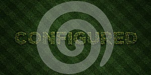 CONFIGURED - fresh Grass letters with flowers and dandelions - 3D rendered royalty free stock image